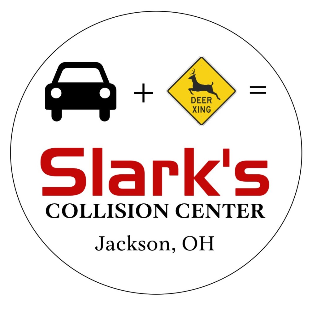 BS logo no background